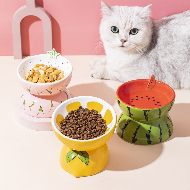 Ceramic Cat Food Bowl for pets