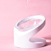 Elevated Puppy Feeding Bowl for small dogs
