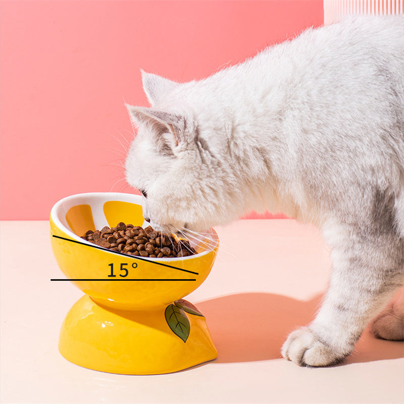Ceramic Cat Food Bowl for pets