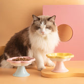 Flower Ceramic Cat Bowl for food and water