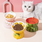 Ceramic Cat Food Bowl for pets