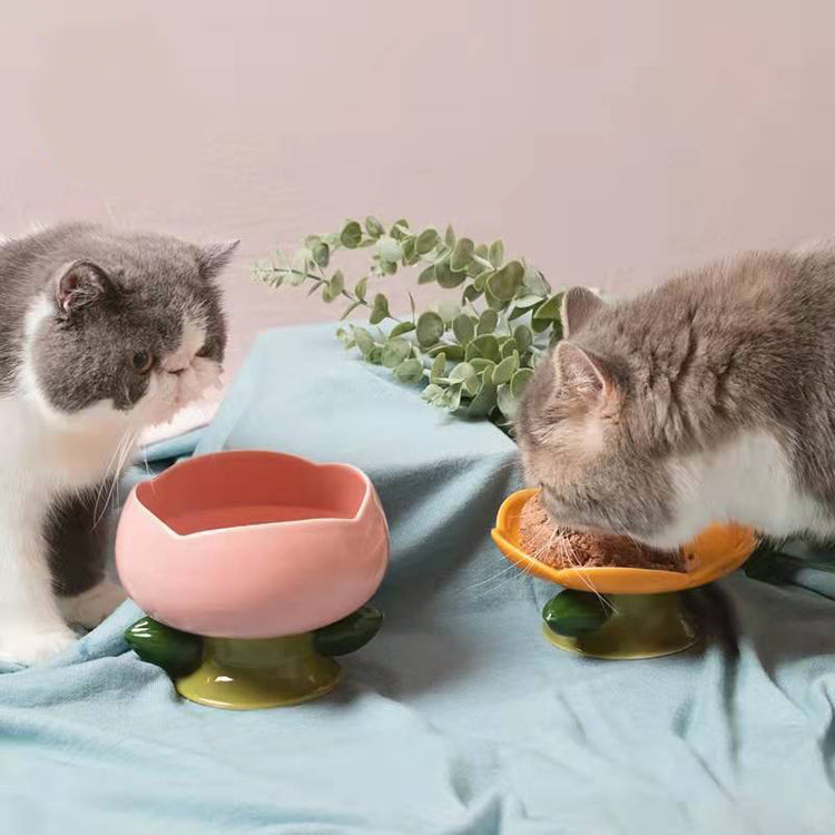 Flower Ceramic Cat Bowl for pets
