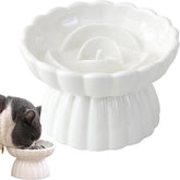 Elevated Slow Feeder Dog Bowl for flat-faced dogs