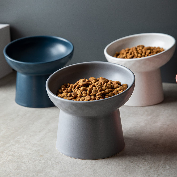 Wide Mouth Cat Bowl elevated design