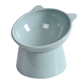 Elevated Dog Bowl with slanted design