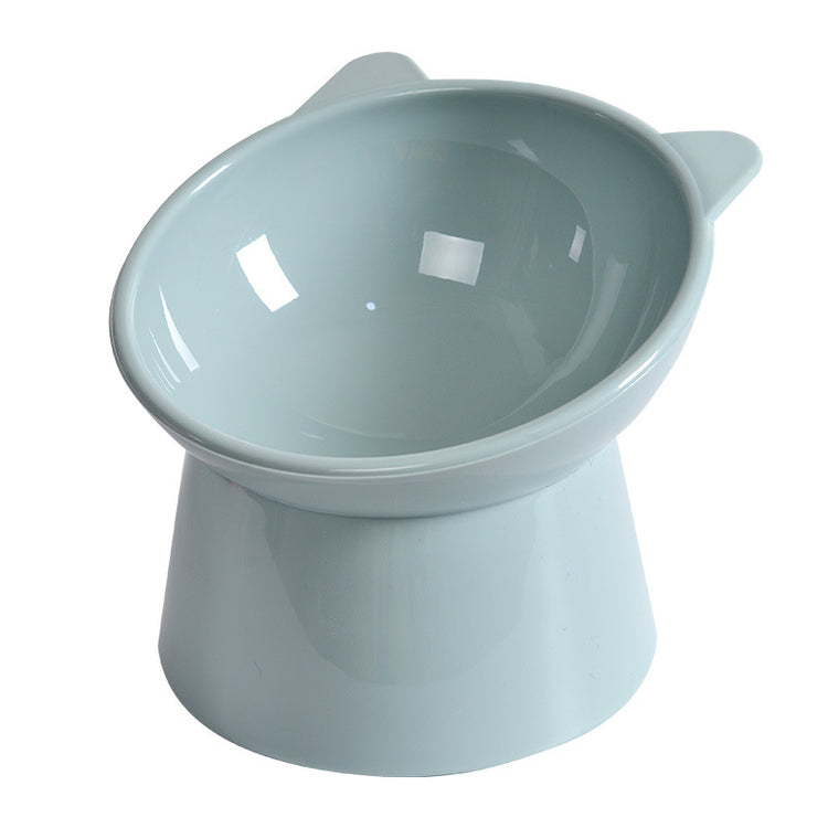 Elevated Dog Bowl with slanted design