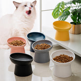 Anti Overturning Cat Bowl feeding setup