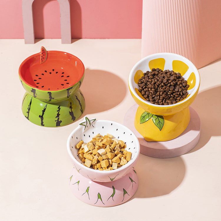 Ceramic Cat Food Bowl elevated design