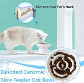 Elevated Slow Feeder Dog Bowl for flat-faced dogs