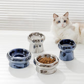 Ceramic Dog Bowl with electroplated finish