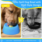 Slow Feeder Dog Bowl with lick mat
