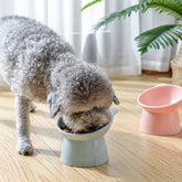 Elevated Dog Bowl for small dogs
