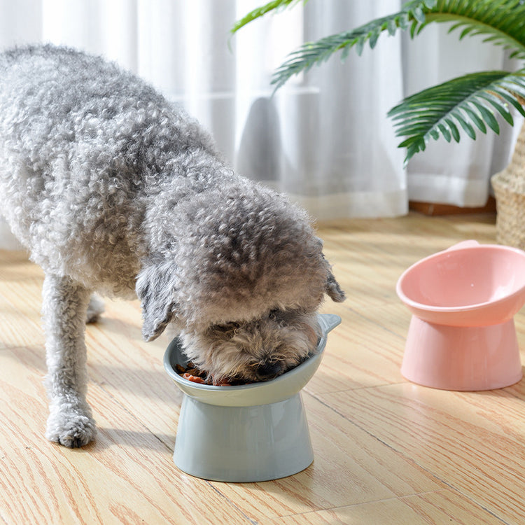 Elevated Dog Bowl for small dogs