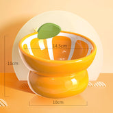 Ceramic Dog Bowl for small dogs