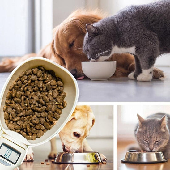 Pet Food Measuring Spoon for dog food