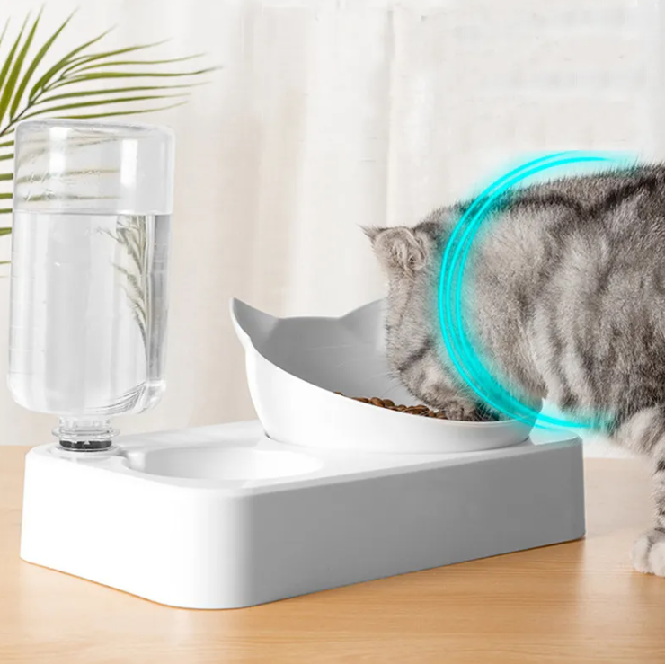 Elevated Double Dog Bowl for French Bulldogs