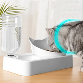 Elevated Double Dog Bowl for French Bulldogs