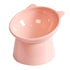 Elevated Dog Bowl with slanted design
