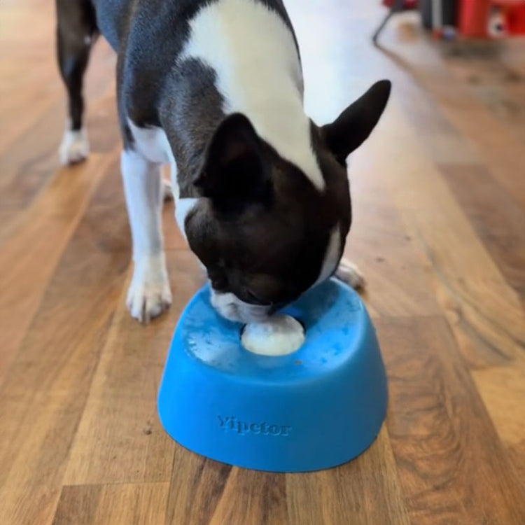 Slow Feeder Dog Bowl with lick mat