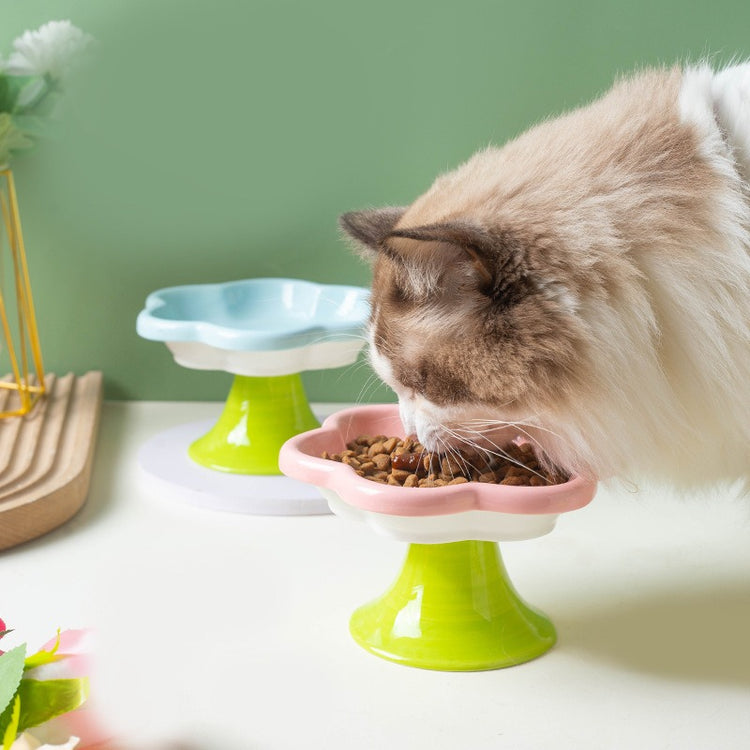 Flower Ceramic Cat Bowl for pets