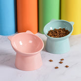 Elevated Dog Bowl with slanted design