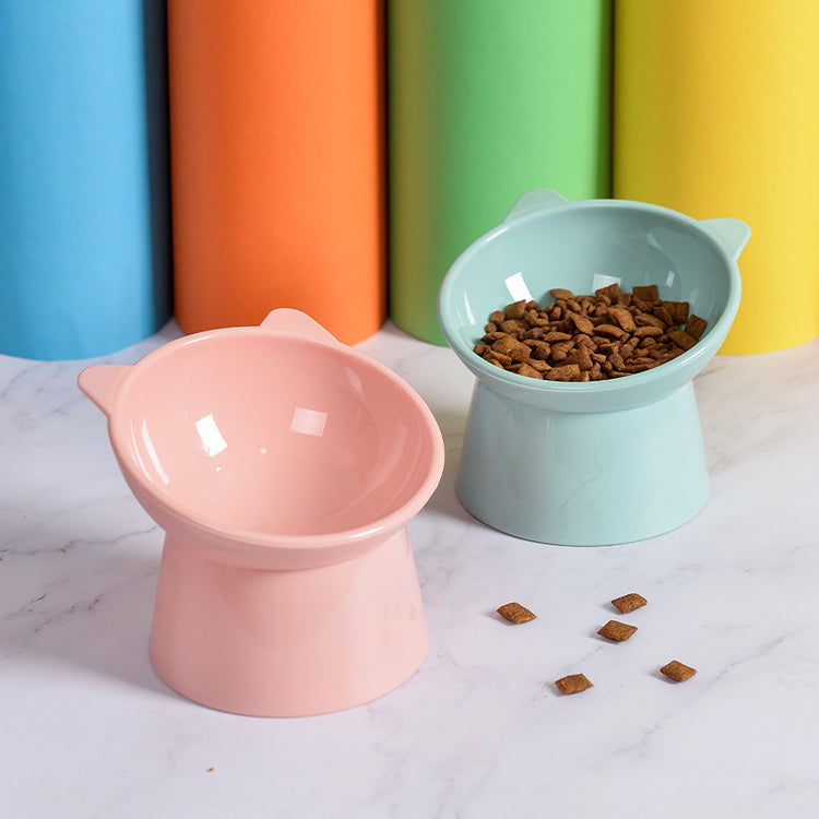 Elevated Dog Bowl with slanted design
