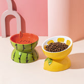 Ceramic Cat Food Bowl elevated design