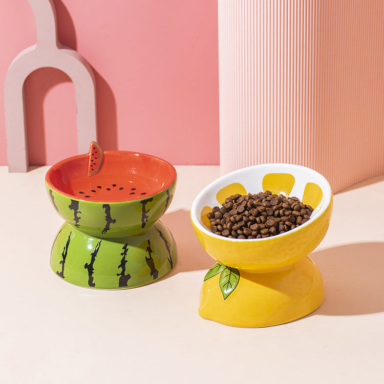 Ceramic Cat Food Bowl elevated design