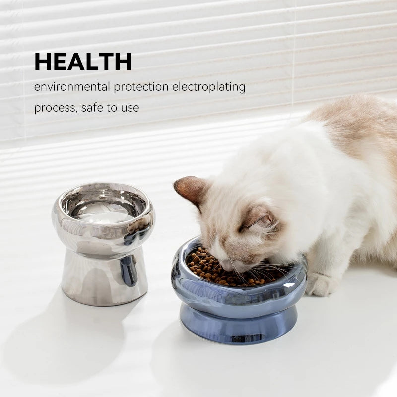 Ceramic Dog Bowl with electroplated finish