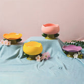 Flower Ceramic Cat Bowl for pets