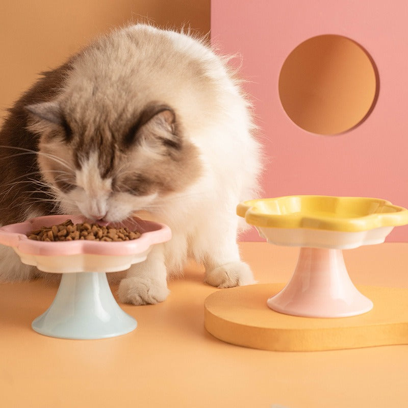 Flower Ceramic Cat Bowl for food and water