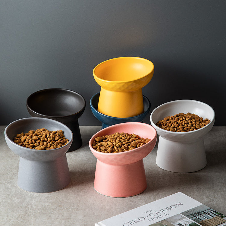 Wide Mouth Cat Bowl for comfortable feeding