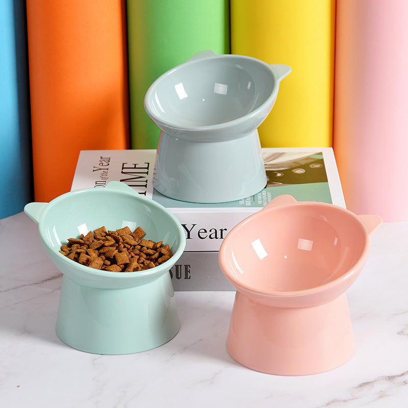 Elevated Dog Bowl with slanted design