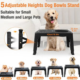 Elevated Dog Feeder with slow food bowl
