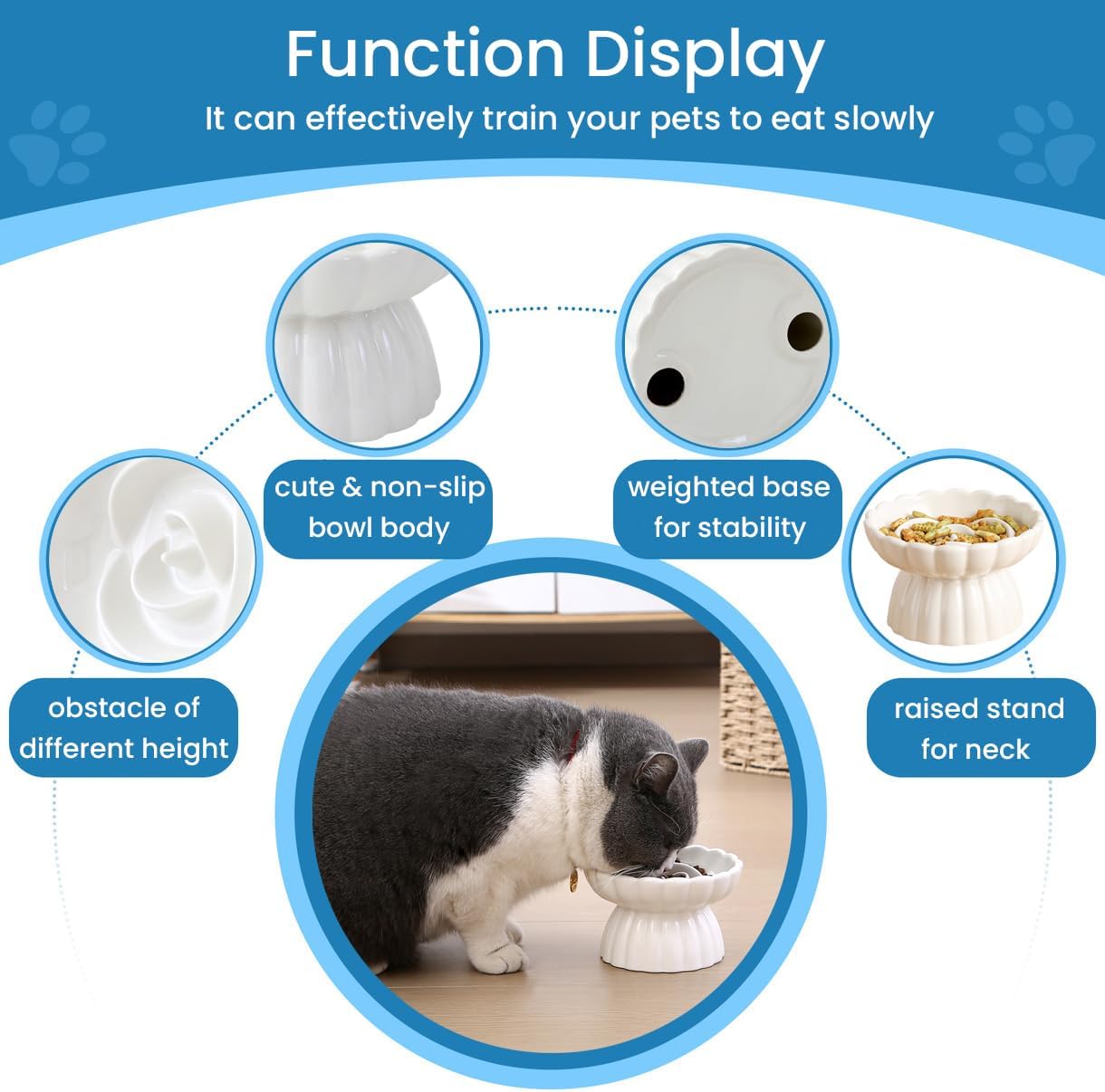 Elevated Slow Feeder Dog Bowl for flat-faced dogs