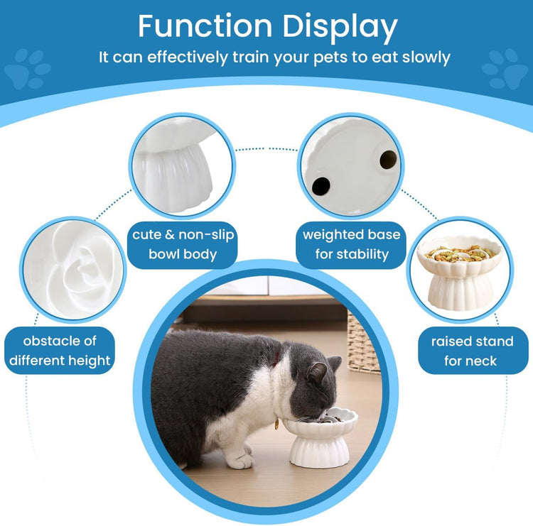Elevated Slow Feeder Dog Bowl for flat-faced dogs